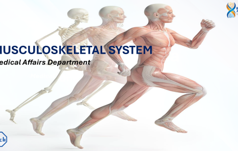 Bones & Joints